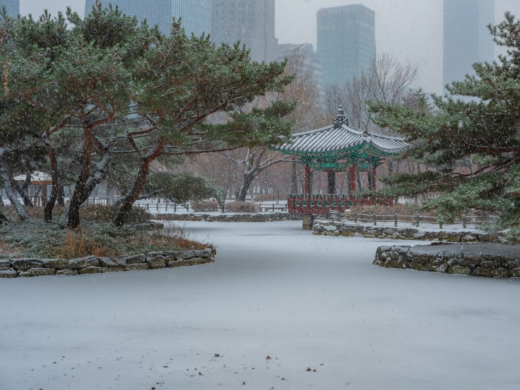 韓国の雪化粧